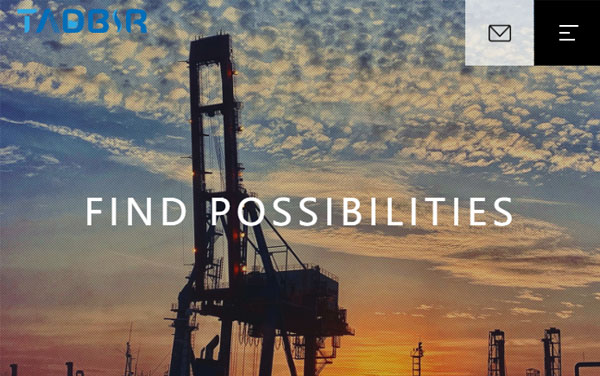 青岛泰得比尔国际贸易有限公司 网站案例